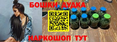 индика Анжеро-Судженск