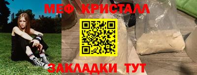 прущие грибы Ярославль